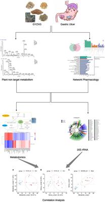 Research on the mechanism of Guanyu Zhixie Granule in intervening gastric ulcers in rats based on network pharmacology and multi-omics